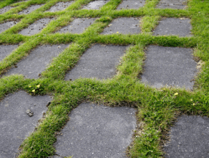 Schermafbeelding 2013-01-22 om 19.05.56