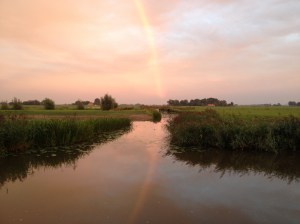 IMG_5440