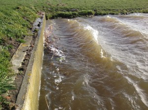 Het water blies letterlijk uit de sloot