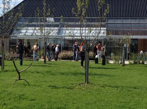 Een drukte van belang