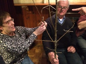 Theorieavond. Waar moeten we snoeien