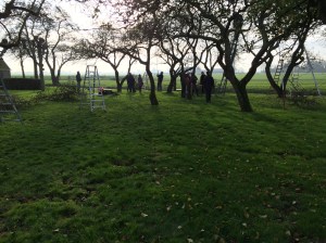 Met z'n allen de boomgaard in