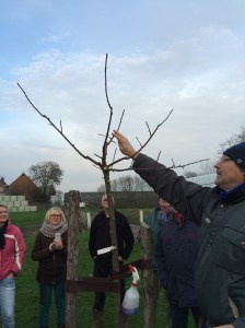 jonge boompjes zijn andere koek