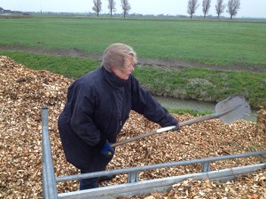 Windkracht 5, 2 graden celsius