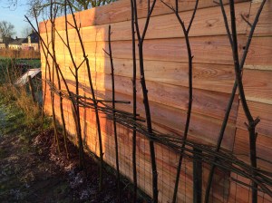 Een nieuwe heg van wilgentakken