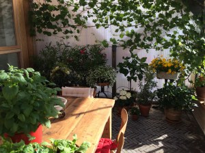 We groeien dicht. Groeizame plek die kas