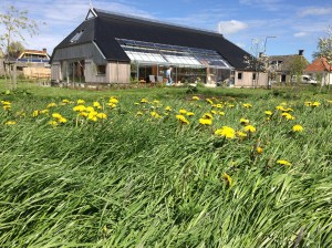 Er moet nodig gemaaid worden