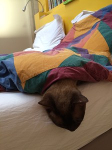 Bonje met een hang-over