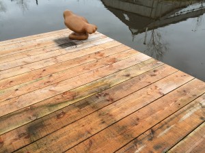 Ritueel geplaatst onder toezicht van Jan Boonstra. Hij heeft de eerste storm goed standgehouden.
