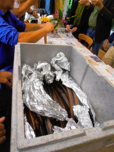 Sipke maakt de paling schoon